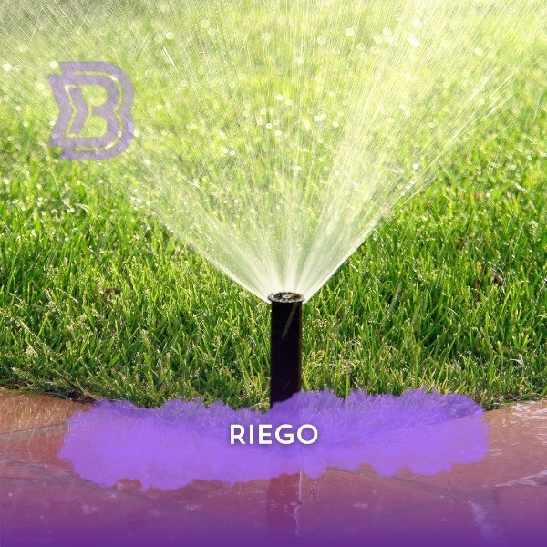 Riego