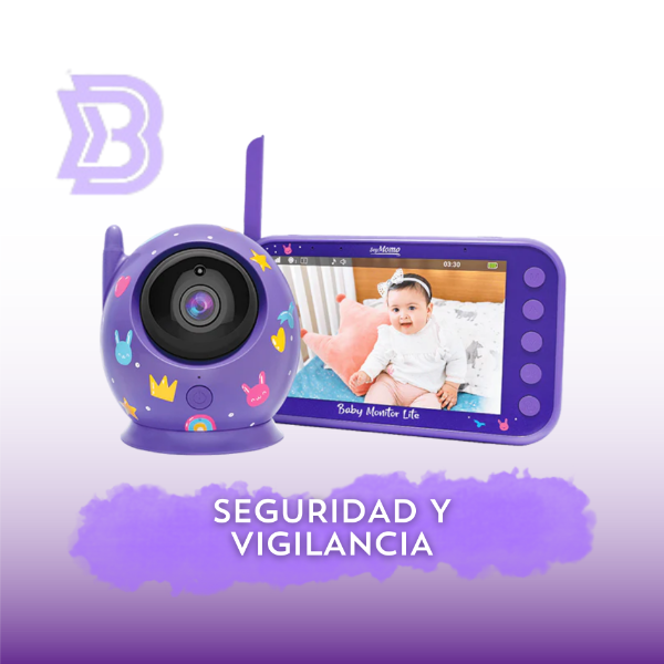 Seguridad y vigilancia