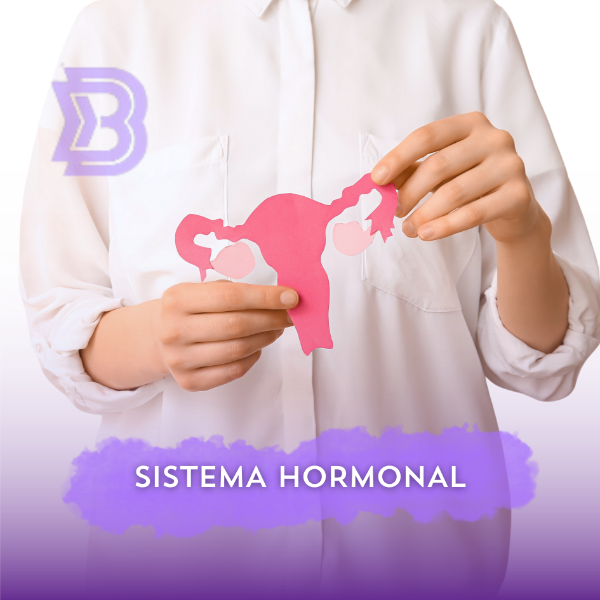 Sistema Hormonal