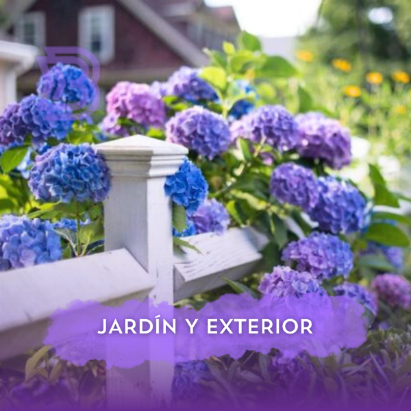 Jardín y Exterior
