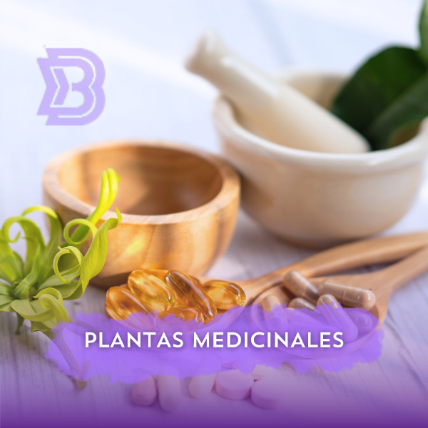 Plantas medicinales