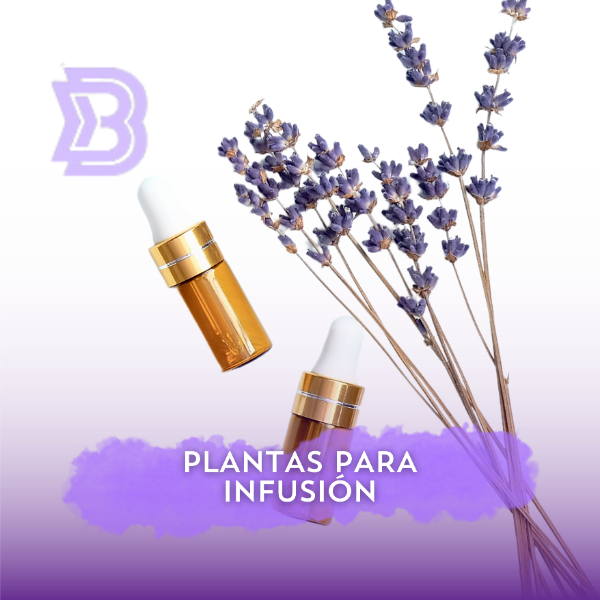 Plantas para infusión