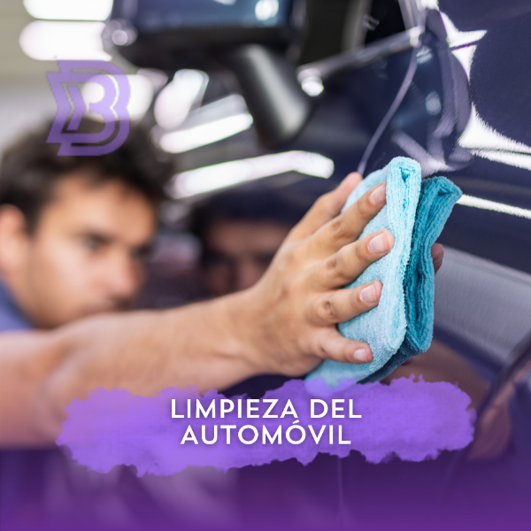 Limpieza del automóvil