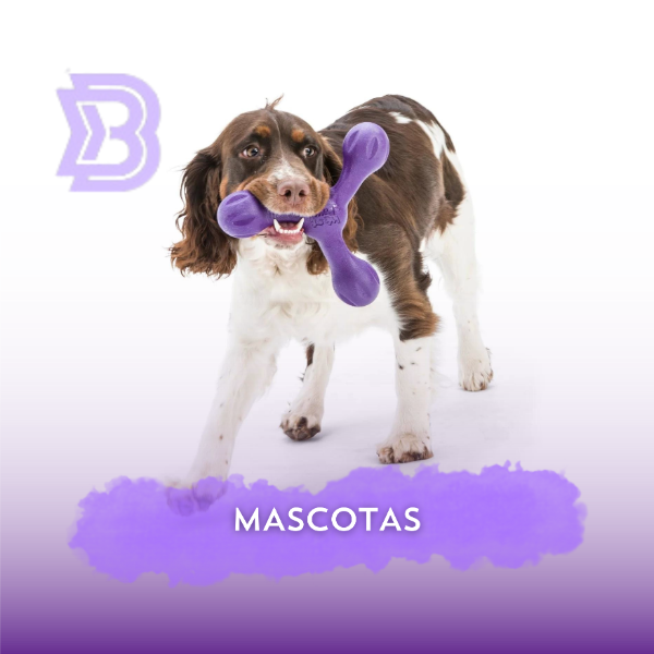 Mascotas